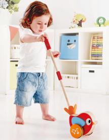 Spingi spingi Farfalla