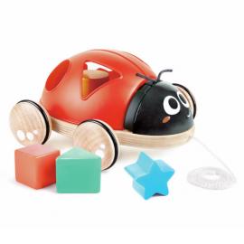 Coccinella Trainabile con le Forme